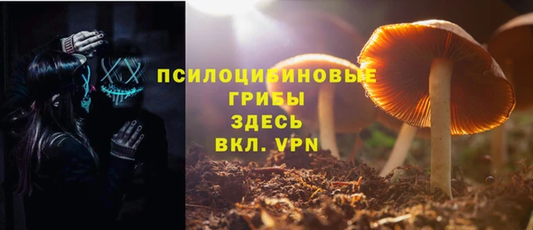 дживик Мегион