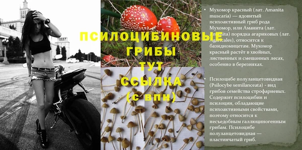 MDMA Premium VHQ Михайловск