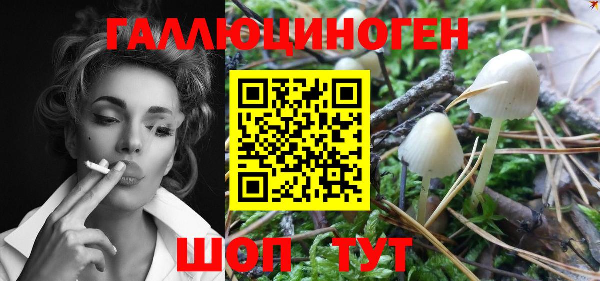 Усть-Лабинск  Псилоцибиновые грибы GOLDEN TEACHER  Вход с VPN  Псилоцибиновые грибы MAGIC MUSHROOMS 
